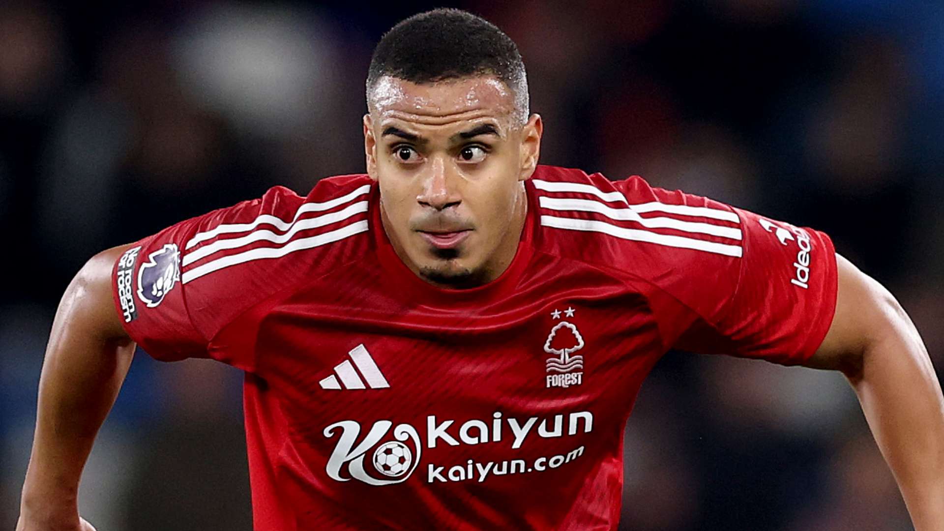 赢得了来自 赢得了来自