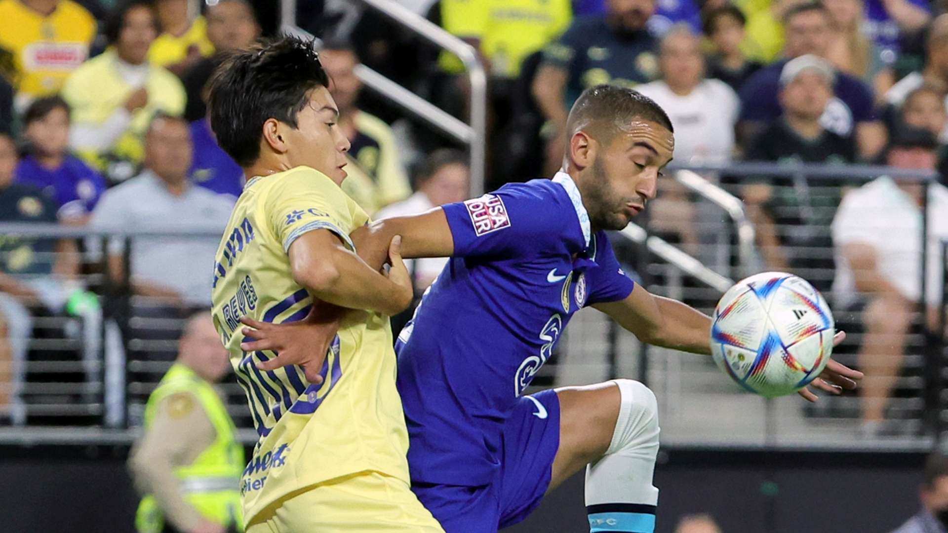 种荣誉的象 种荣誉的象